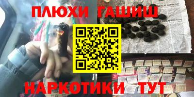индика Партизанск