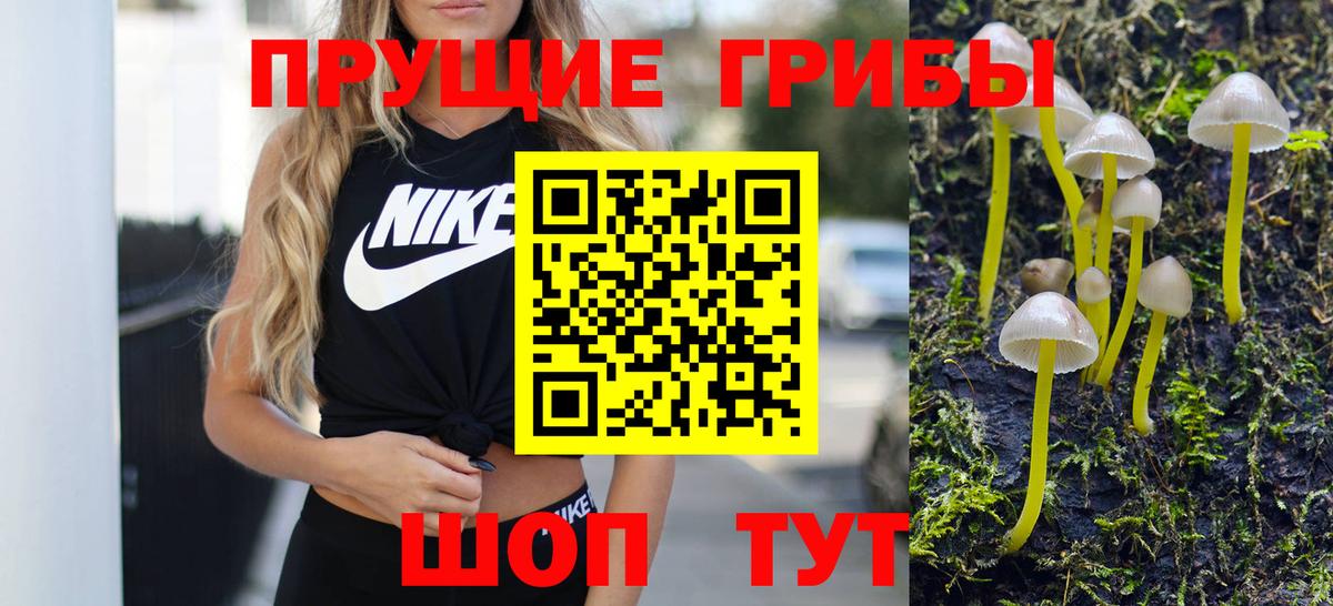 Холмск  Псилоцибиновые грибы Magic Shrooms  Вход с VPN 