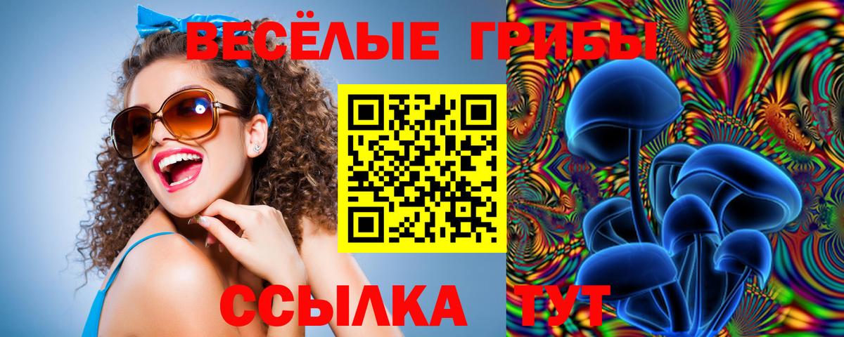 Галлюциногенные грибы Psilocybine cubensis Холмск
